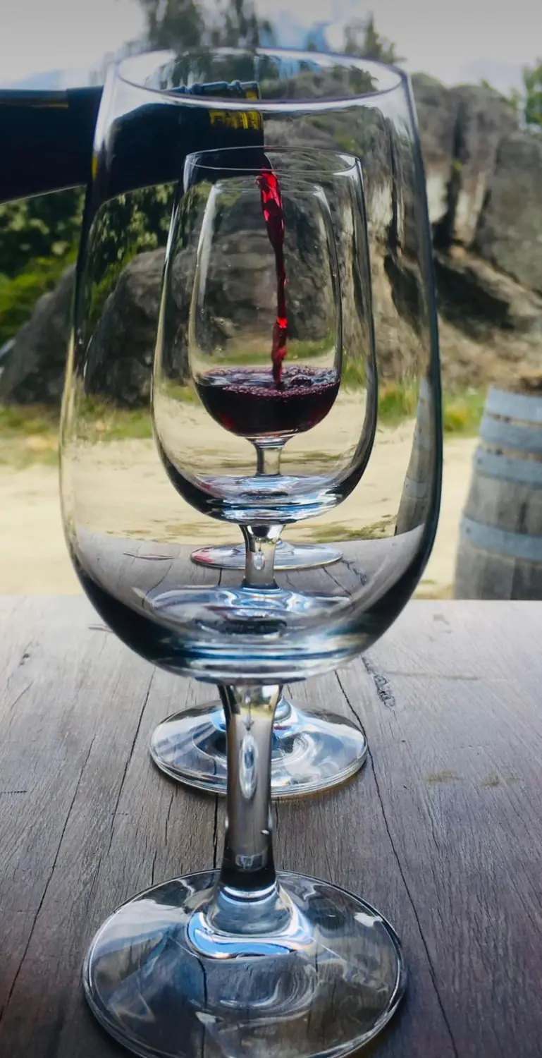 Weinsortiment Tatjana Baumann